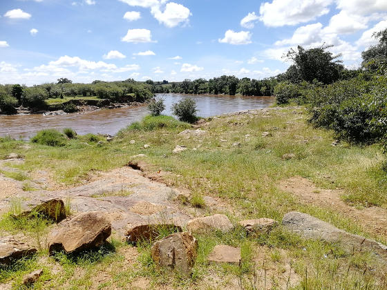 Grassy bank of a wide river
